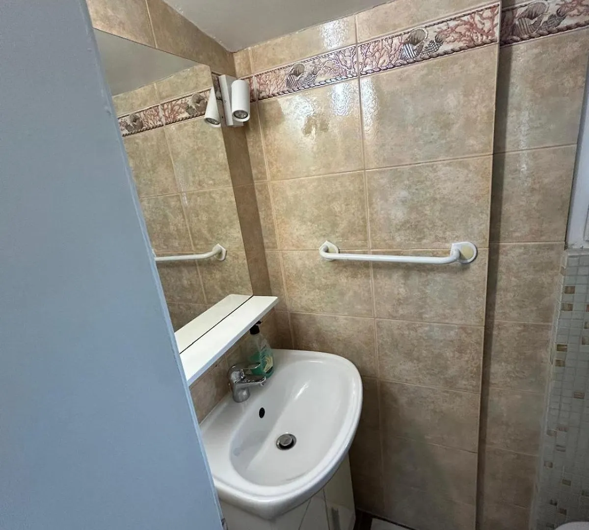 Apartments Oliva Porec